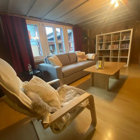 公寓 Cosy In Heritage Protected Swiss 因特拉肯