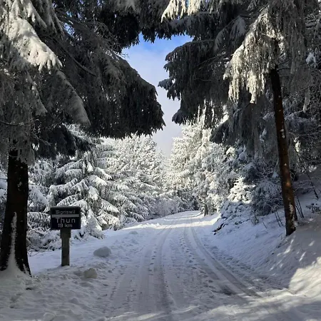 公寓 Cosy In Heritage Protected Swiss 因特拉肯