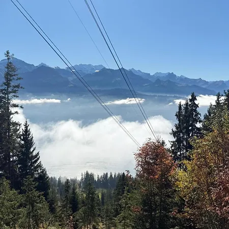 公寓 Cosy In Heritage Protected Swiss