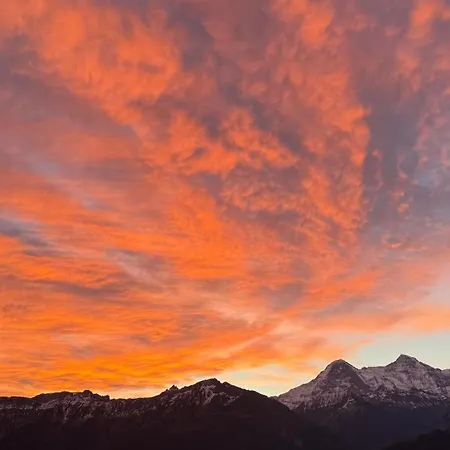 Cosy In Heritage Protected Swiss 公寓