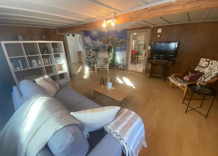 Cosy In Heritage Protected Swiss Apartment *