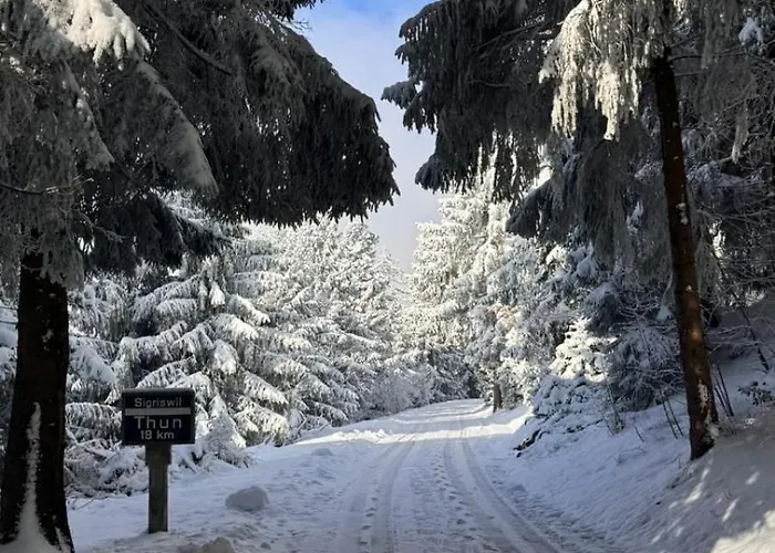 Apartment Cosy In Heritage Protected Swiss Interlaken
