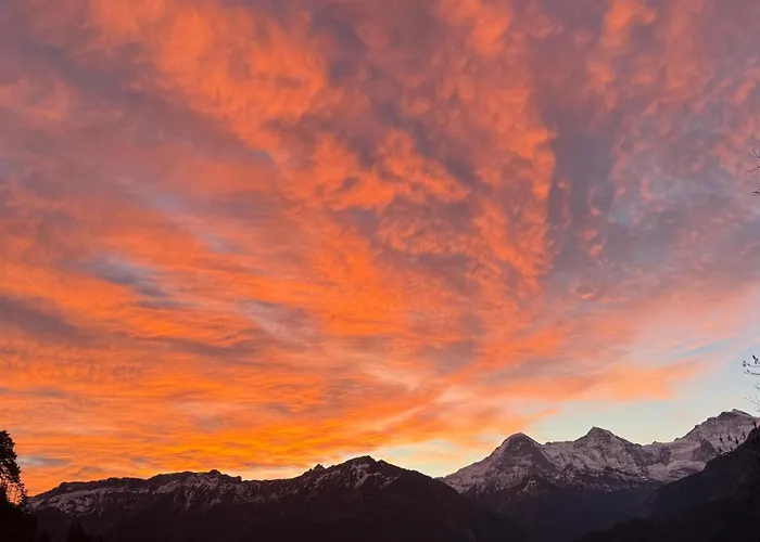 Cosy In Heritage Protected Swiss Apartment
