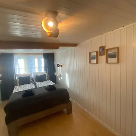 Cosy In Heritage Protected Swiss Lejlighed