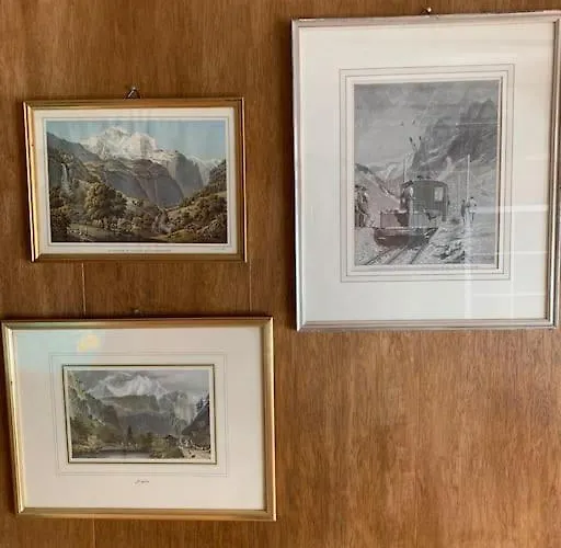 Cosy In Heritage Protected Swiss Lejlighed *