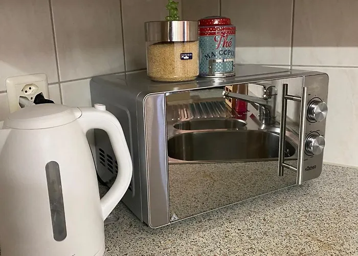 Cosy In Heritage Protected Swiss Lejlighed *